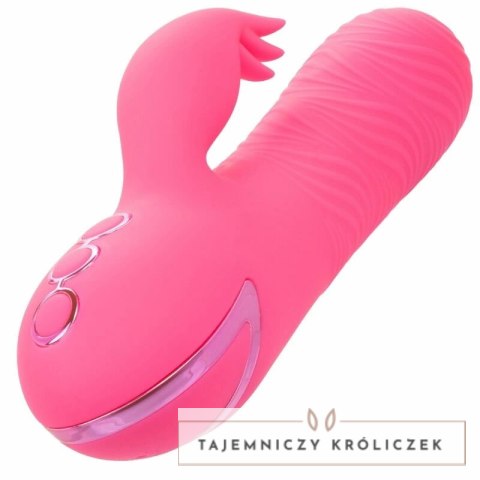 CalExotics Sacramento Sweetie Kalifornijski Wibrator Krolik Rożowy USB CALEXOTICS