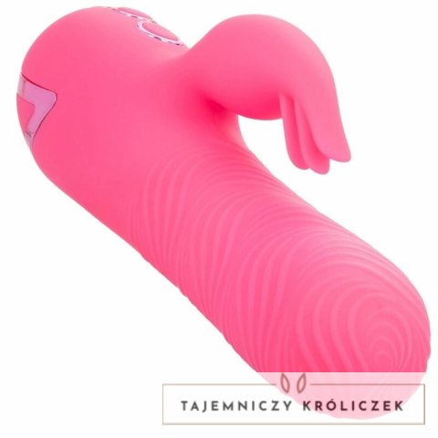 CalExotics Sacramento Sweetie Kalifornijski Wibrator Krolik Rożowy USB CALEXOTICS