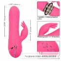 CalExotics Sacramento Sweetie Kalifornijski Wibrator Krolik Rożowy USB CALEXOTICS