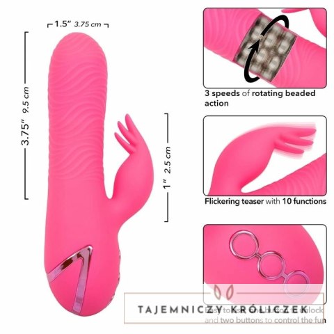 CalExotics Sacramento Sweetie Kalifornijski Wibrator Krolik Rożowy USB CALEXOTICS