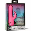 CalExotics Sacramento Sweetie Kalifornijski Wibrator Krolik Rożowy USB CALEXOTICS