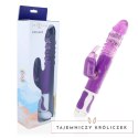 Intense Estuard Up&Down Rotator liliowy - model z 12 trybami pracy INTENSE