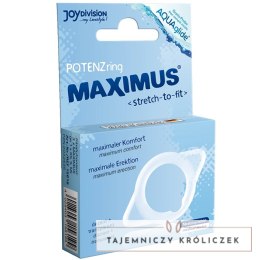 Joydivision Maximus Small - elastyczny pierścień wspierający, mały rozmiar JOYDIVISION