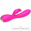 Nalone Magic Stick - model dwusilnikowy, silikonowy, rożowy, 19 cm NALONE