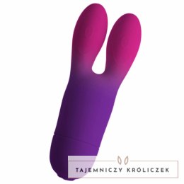 Rocks-Off Glo-Girl Bunny fioletowy elastyczny model z 10 trybami IPX7 ROCKS-OFF