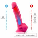 SilexD Model 18 Rożowy System Wibracji z Pilotem, 20 cm, USB, IPX4 SILEXD