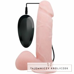 Baile Oliver - Model z funkcją rotacji, wielobiegowy, przyssawka BAILE