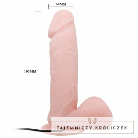 Baile Oliver - Model z funkcją rotacji, wielobiegowy, przyssawka BAILE