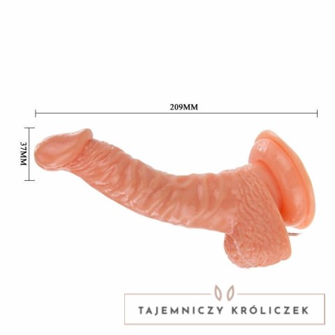 Baile Super Rota Dong rotacyjny model intymny z przyssawką 20,5 cm BAILE