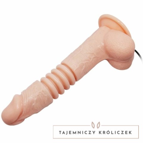 Baile Thunder Up - wielofunkcyjny model z przyssawką, wibracje i rotacja BAILE