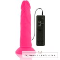 Diversia Flexible Pink Model 23 cm - Intymna Maszyna z Wibracjami i Przyssawką DIVERSIA