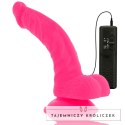 Diversia Wibrujący Model Elastyczny Rożowy 21,5 cm - Przyssawka, Pilot DIVERSIA