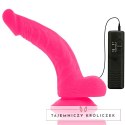 Diversia Wibrujący Model Elastyczny Rożowy 21,5 cm - Przyssawka, Pilot DIVERSIA