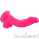 Diversia Wibrujący Model Elastyczny Rożowy 21,5 cm - Przyssawka, Pilot DIVERSIA