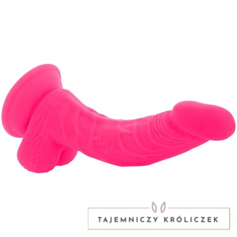 Diversia Wibrujący Model Elastyczny Rożowy 21,5 cm - Przyssawka, Pilot DIVERSIA