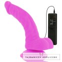 Diversia Wibrujący Model Intymny Elastyczny Fioletowy 21,5 cm TPE DIVERSIA