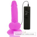 Diversia Wibrujący Model Intymny Fioletowy 17 cm Elastyczny TPE DIVERSIA