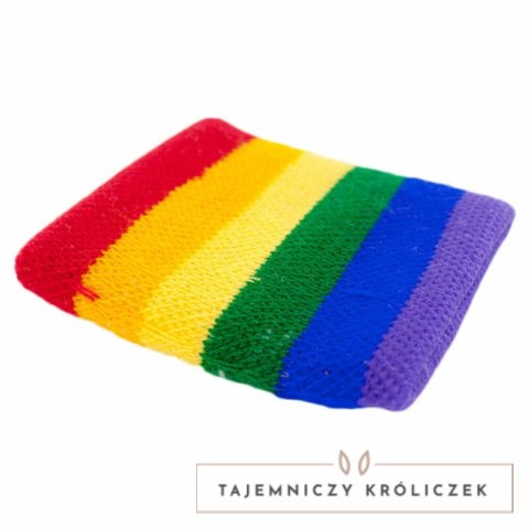Diablo Picante Opaski na rękę z tęczową flagą LGBT, zestaw Pride PRIDE