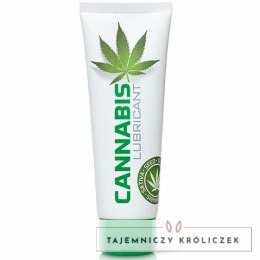 Cobeco Cannabis Lubricant Water Based 125ml - nawilżający z olejem konopnym COBECO PHARMA