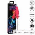 CalExotics Southern Lights sonda analna LED 10 trybow silikon rożowy CALEXOTICS