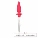 CalExotics Southern Lights sonda analna LED 10 trybow silikon rożowy CALEXOTICS