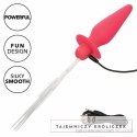 CalExotics Southern Lights sonda analna LED 10 trybow silikon rożowy CALEXOTICS