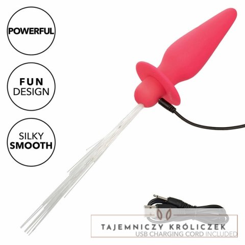 CalExotics Southern Lights sonda analna LED 10 trybow silikon rożowy CALEXOTICS