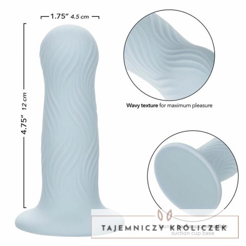 CalExotics Wave Rider Foam Plug silikonowy niebieski z przyssawką CALEXOTICS