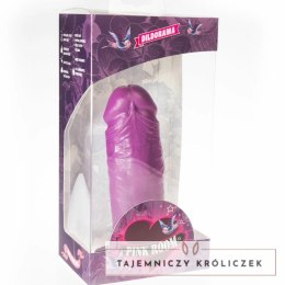 PINK ROOM Dael model fioletowy 18,5 cm z przyssawką - powierzchnia anatomiczna PINK ROOM