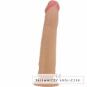 Pretty Love Sharife model 25 cm mięsisty TPR z przyssawką PRETTY LOVE