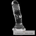 XRAY X Ray Clear Jelly 12 cm - przezroczysty model z przyssawką X RAY