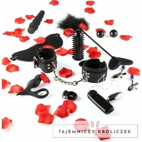 ToyJoy Zestaw Akcesoriow Intymnych 10 Elementow Multi-Funkcja TOYJOY
