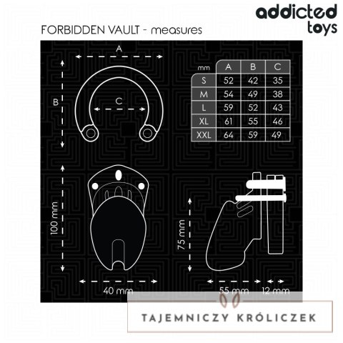 Addicted Toys Locked system zabezpieczający 10 cm z 5 pierścieniami ADDICTED
