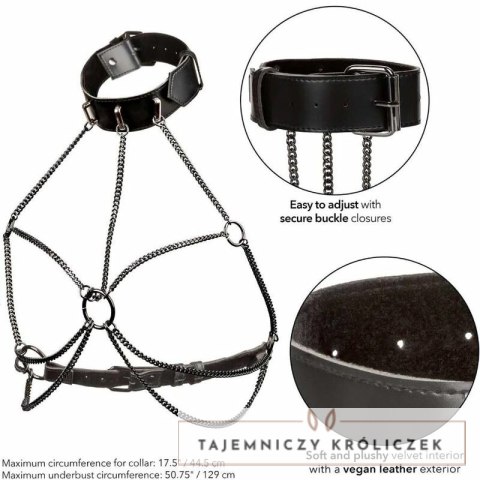 CalExotics Euphoria Plus Size - Uprząż z Kołnierzem i Łańcuszkami XL CALEXOTICS