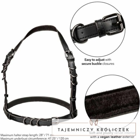 CalExotics Euphoria Plus Size szelki halter czarne z welurowym wnętrzem CALEXOTICS