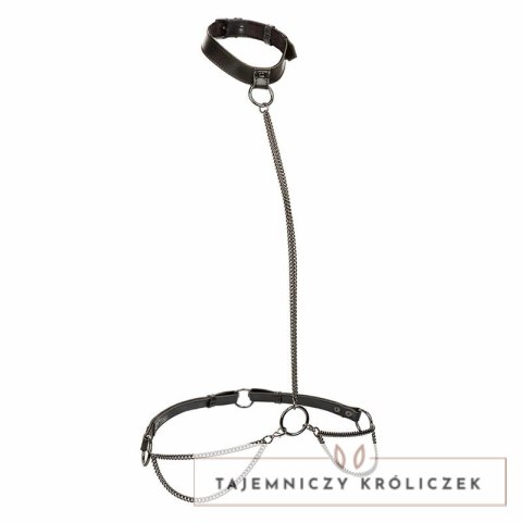 CalExotics Euphoria Chain Halter Collar & Leash Plus Size - skorzany komplet CALEXOTICS