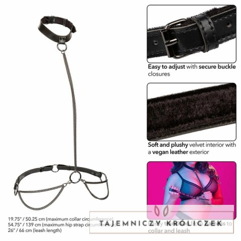 CalExotics Euphoria Chain Halter Collar & Leash Plus Size - skorzany komplet CALEXOTICS