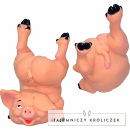 Diverty Skarbonka Świnka Naked Pig - Oryginalna Dekoracja Gumowa DIABLO
