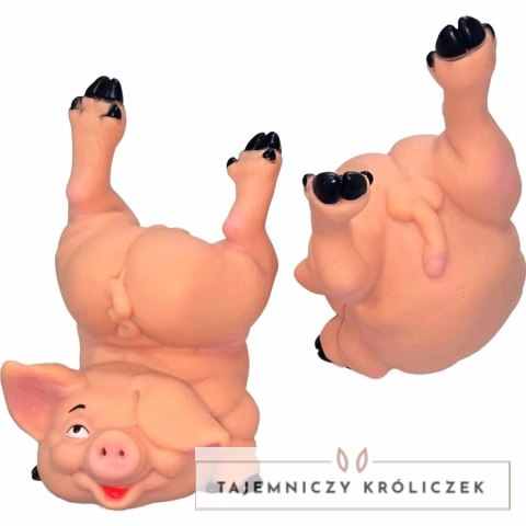Diverty Skarbonka Świnka Naked Pig - Oryginalna Dekoracja Gumowa DIABLO