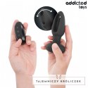 Addicted Toys Model 59739 - Korek z funkcją wibracji i pilotem bezprzewodowym ADDICTED