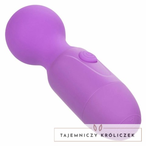 CalExotics First Time masażer akumulatorowy 10 trybow fioletowy CALEXOTICS