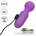 CalExotics First Time masażer akumulatorowy 10 trybow fioletowy CALEXOTICS