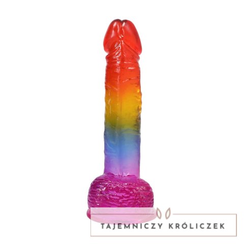 Doc Johnson Crystal Jellies Arcoiris model 21,6 cm - kolorowy anatomiczny gadżet Doc Johnson