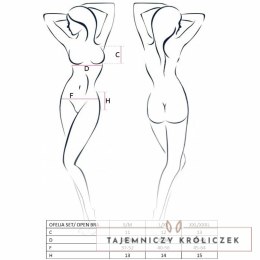 Passion Ofelia zestaw bielizny damskiej S/M biały komplet 3-częściowy Passion