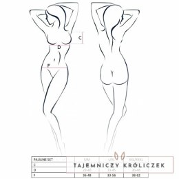 Passion Pauline komplet bielizny 3-częściowy czarny S/M Passion