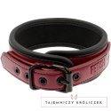Fetish Submissive Dark Room - Naszyjnik z łańcuchem neoprenowy FETISH SUBMISSIVE