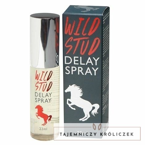 Cobeco Wild Stud Spray opoźniający działanie 15 ml COBECO PHARMA