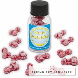 Diablo Picante Słoik 12 cukierkow owocowych truskawkowo-wiśniowych DIABLO