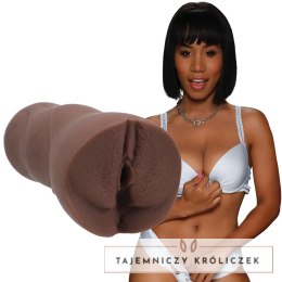 Doc Johnson Main Squeeze Jenna Foxx ULTRASKYN anatomiczny model z etui Doc Johnson