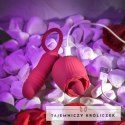 Evolved Wild Rose Red - wielofunkcyjny masażer z systemem podwojnej wibracji Evolved